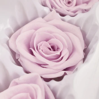 Zachowane Kwiaty Róże Nieśmiertelną Róża 4-5 cm Średnica Dzień Matki DIY Ślub Życie Wieczne Kwiat Materiał Prezent 8 szt./karton. Poziom B
